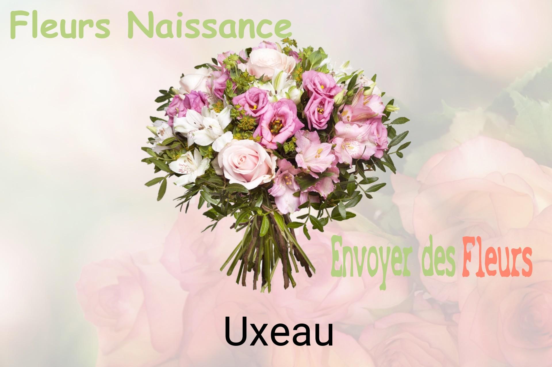 Bouquet de fleurs de naissance livré à Uxeau