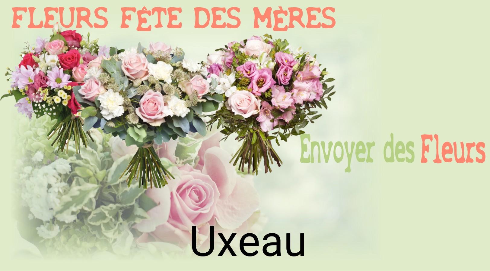 Bouquet de Fête des Mères livré à Uxeau